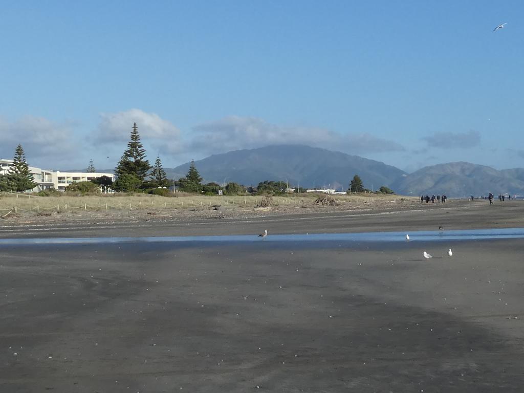 Apartment 4A - By The Beach Paraparaumu Exteriér fotografie